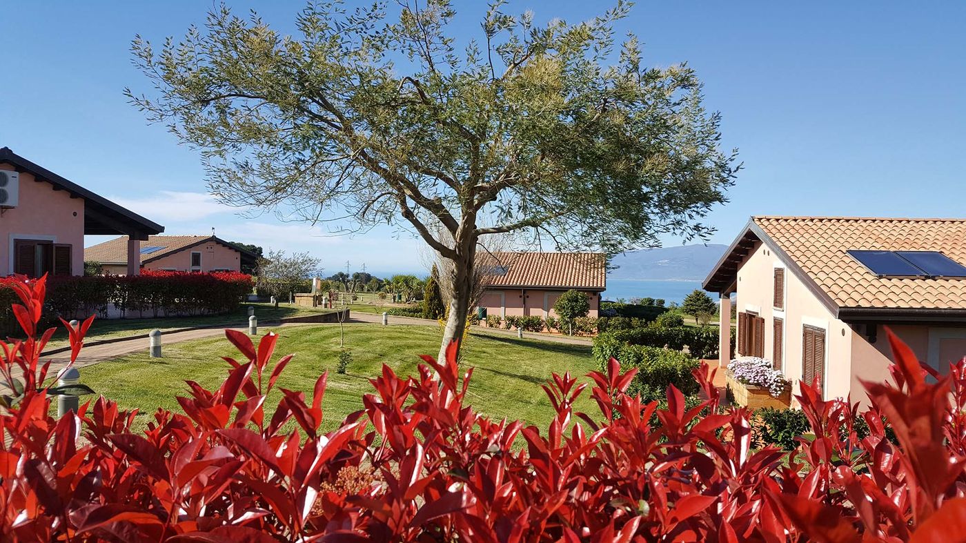Popilia Country Resort-Italy-MAIERATO (VV)-Room-9