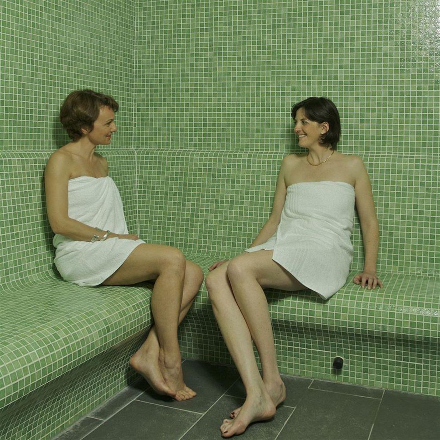 Chateau et Spa de la Commanderie-France-Eybens-General view-1