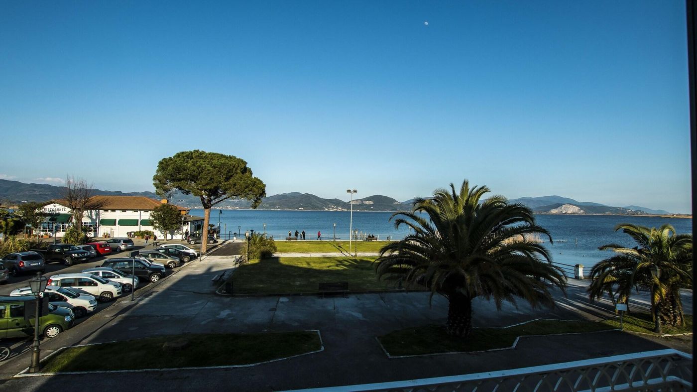 Butterfly-General-view-5