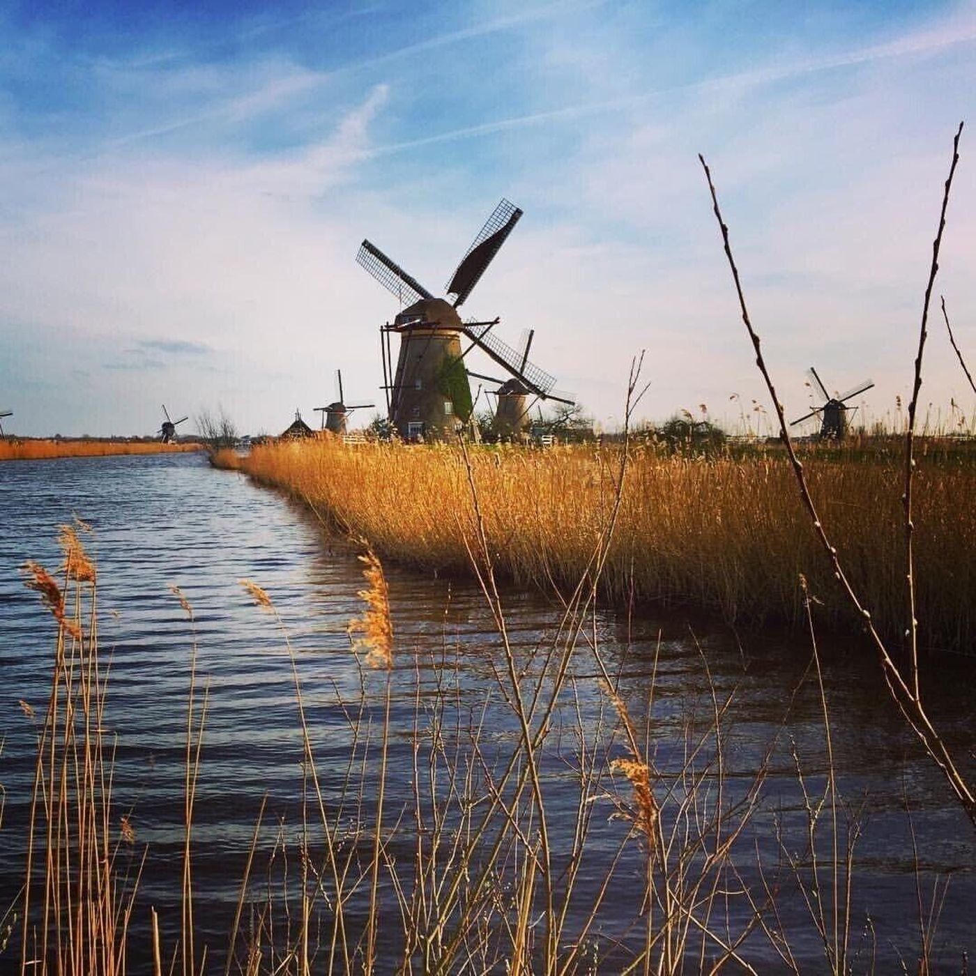 The-Pavilions-Amsterdam--The-Toren-General-view-31