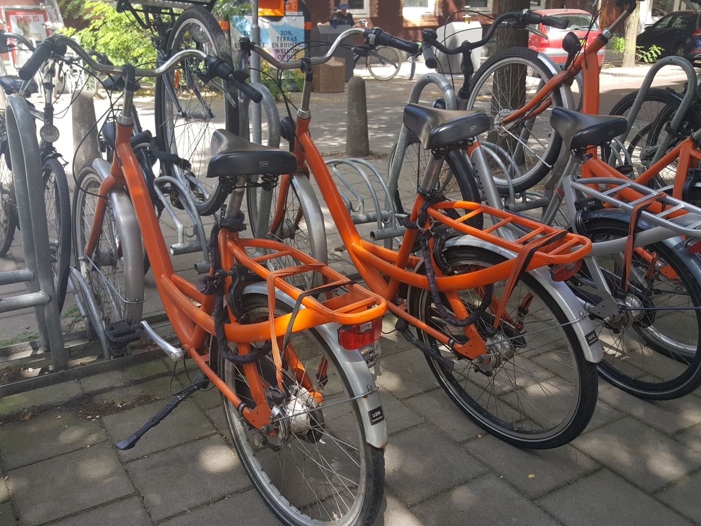 Hotel-Van-Gogh-Sports-and-Entertainment-28