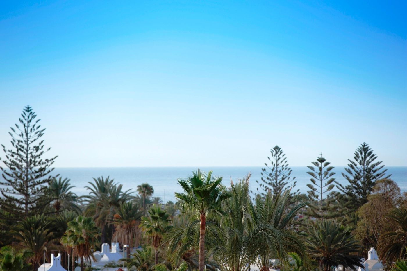 Playa-del-Sol-Apartments---Adults-Only-Terrace-59