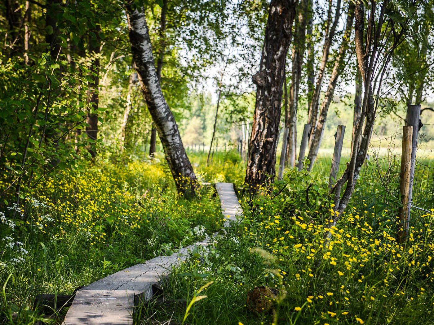 Radisson Blu Hotel Espoo-Finland-Espoo-General view-4