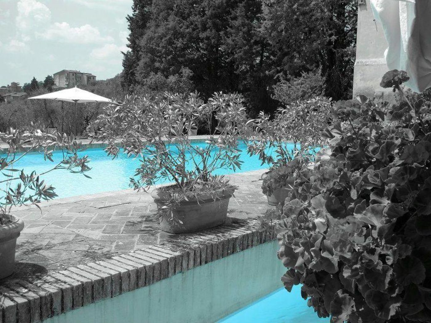 Certosa-di-Maggiano-General-view-69