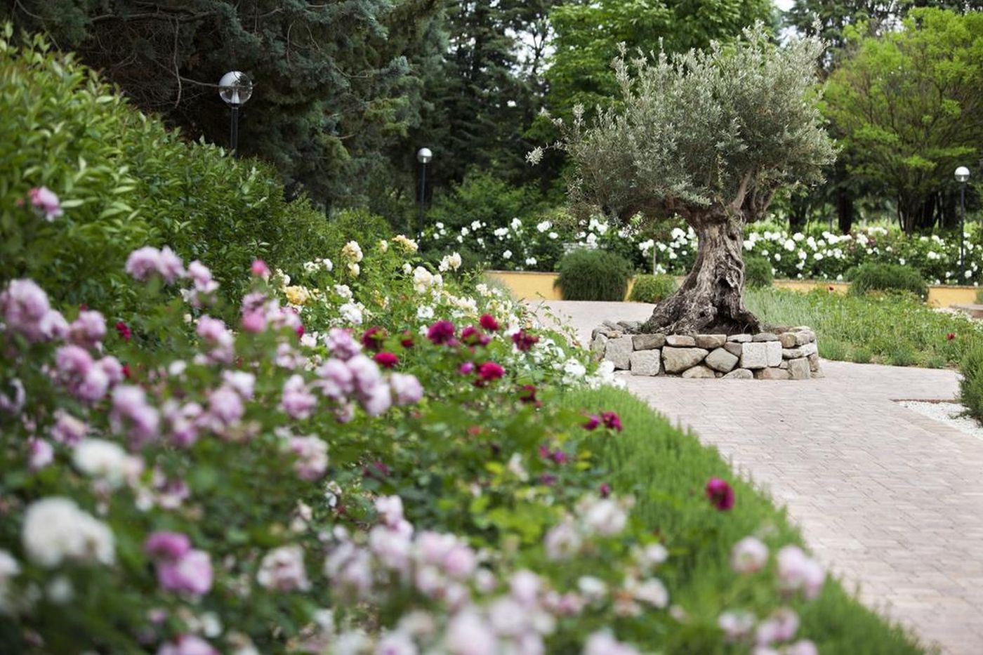 Resort & Spa San Crispino-Italy-ASSISI-General view-1