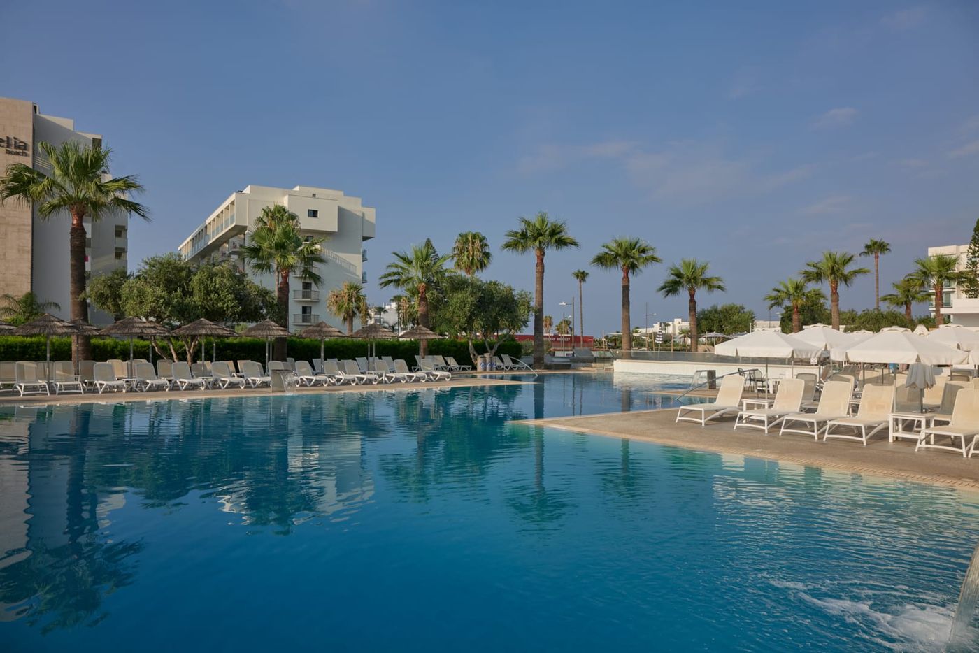 Atlantica Sancta Napa