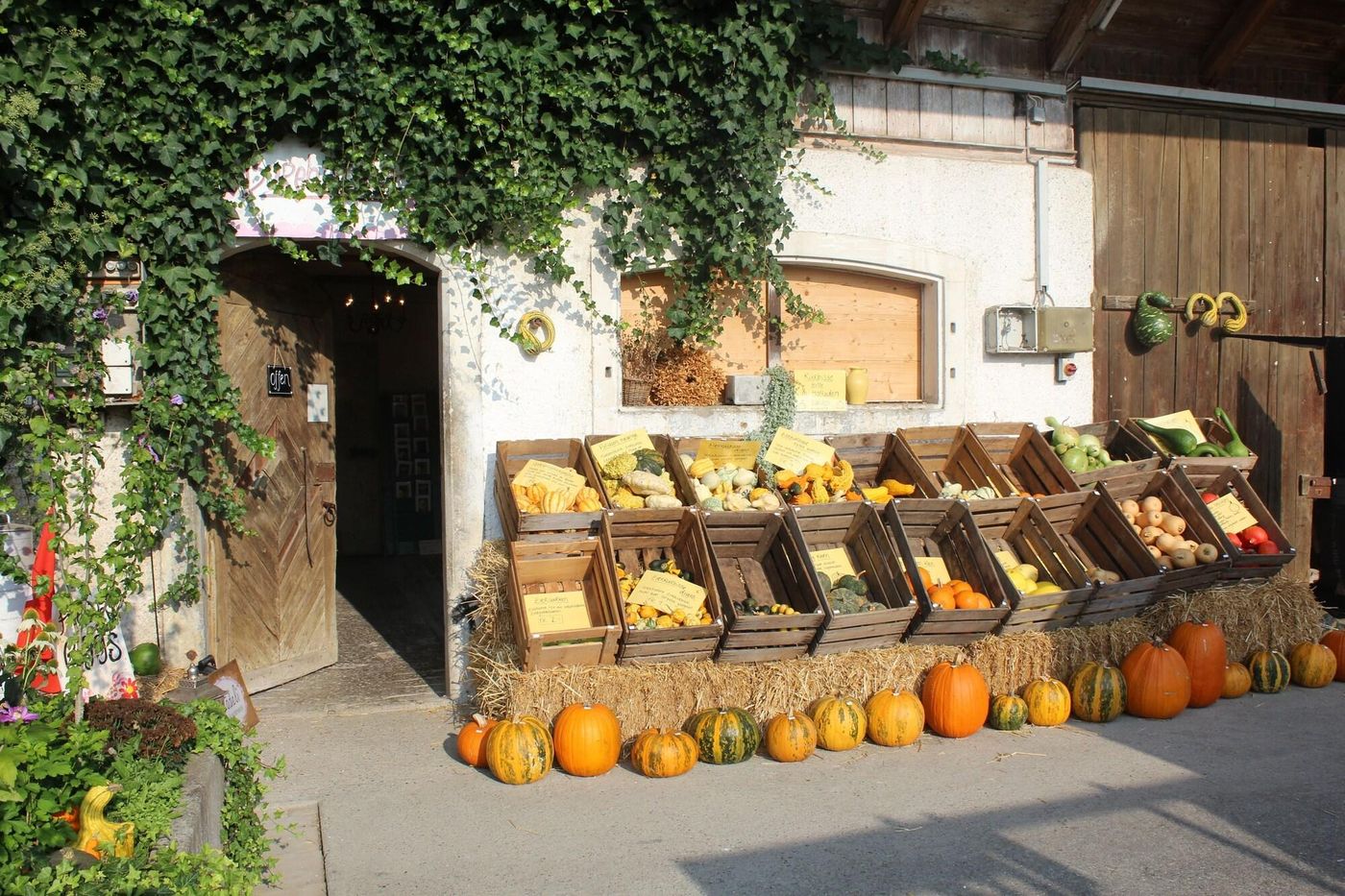 Gasthaus Zum Bauernhof-Switzerland-OBERLUNKHOFEN-General view-2