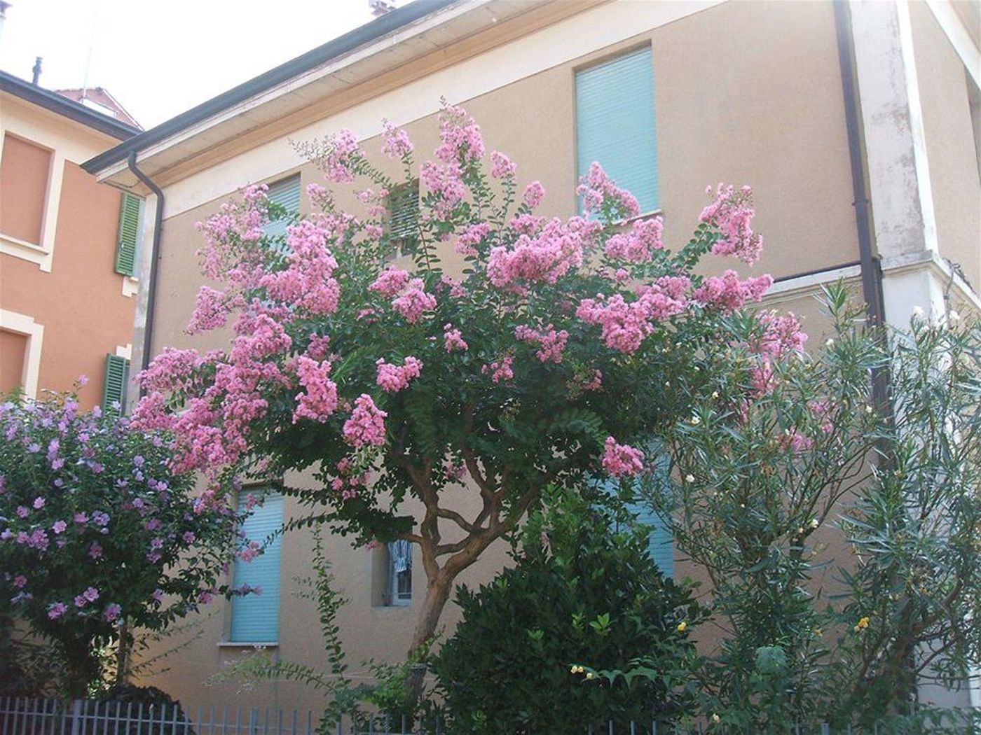 B&B Accorsi - Italy - BOLOGNA - General view - 3