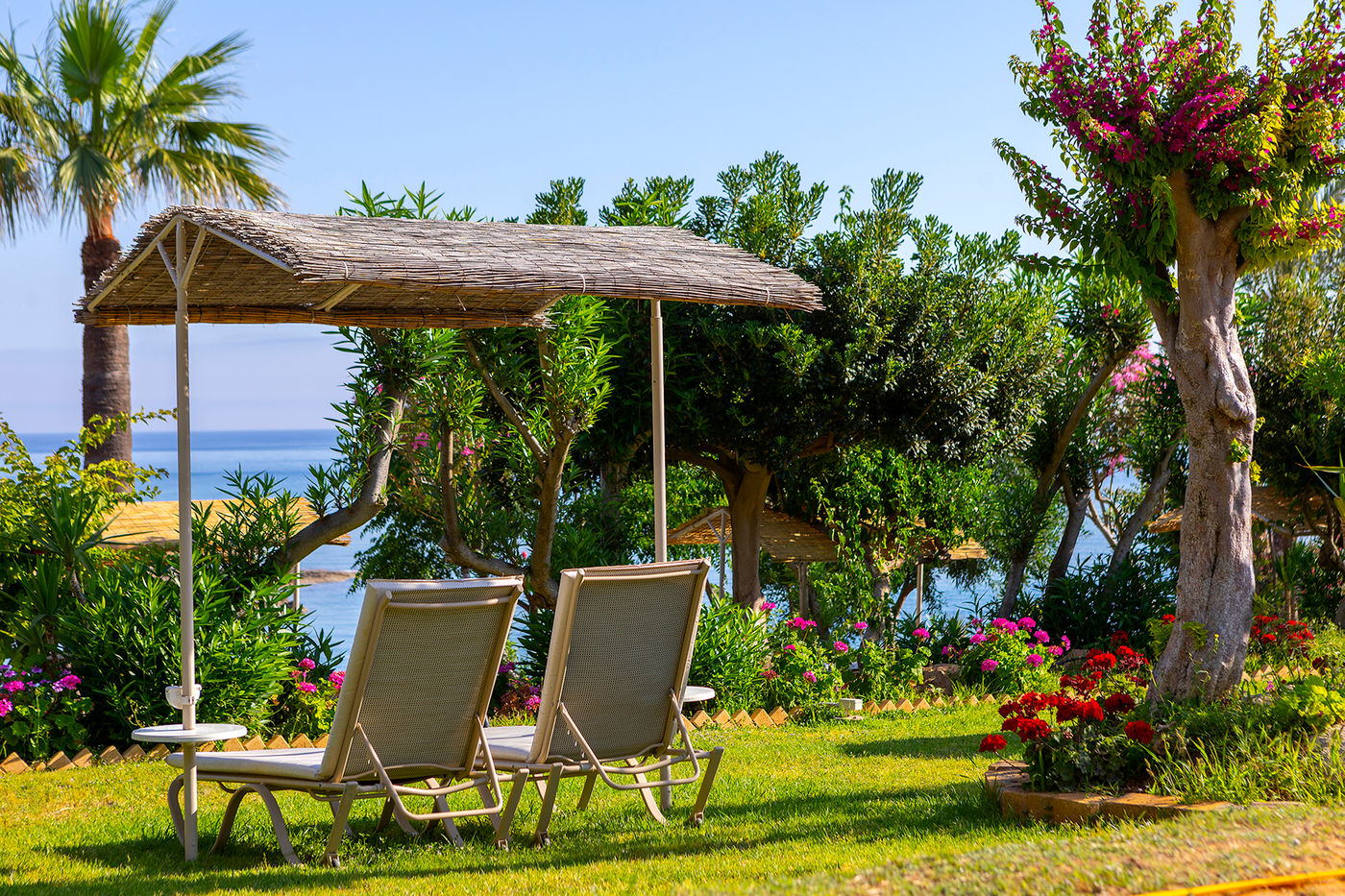 Crystal-Springs-Beach-Hotel-General-view-55