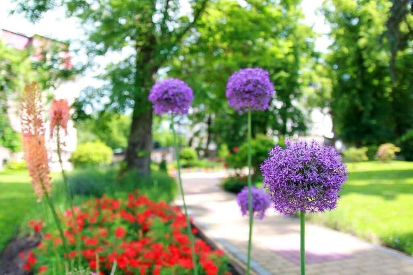 Hotel Georgy House-Czech Republic-Karlovy Vary-General view-10