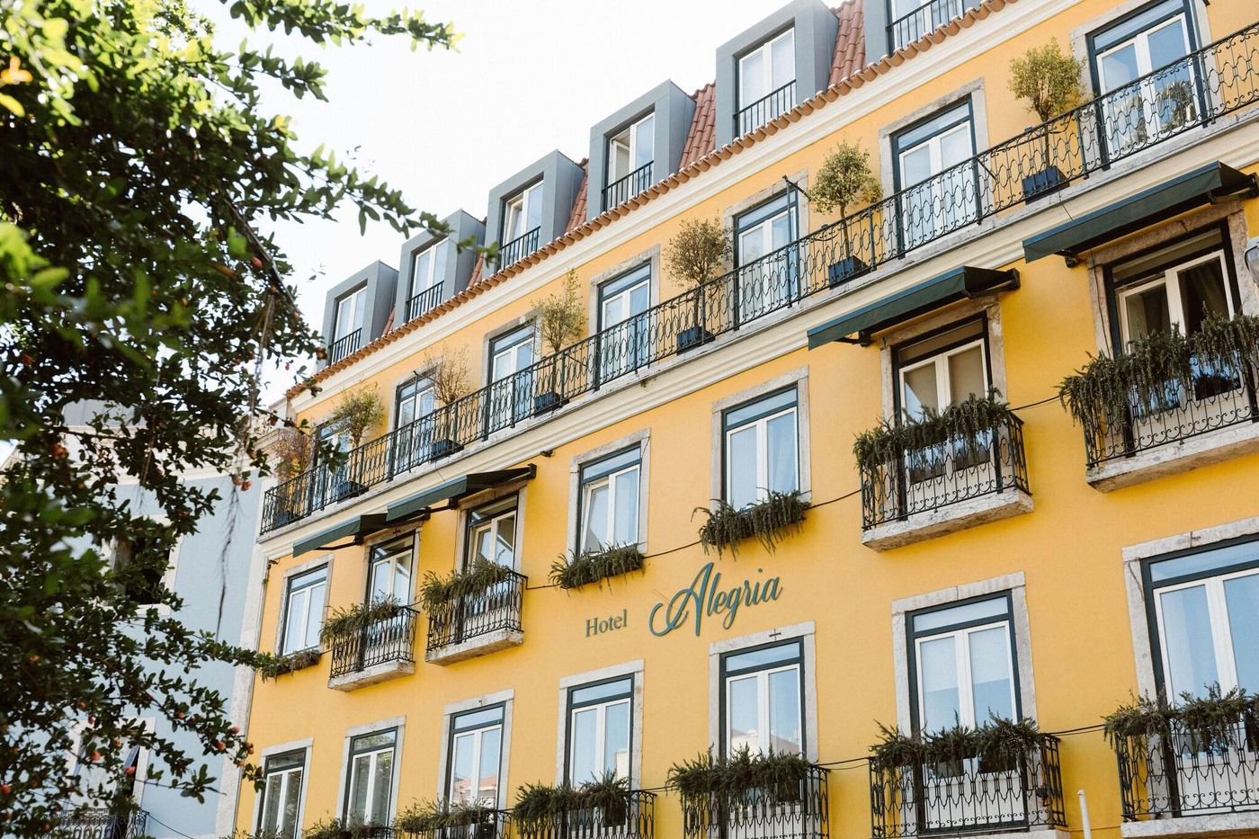 Alegria-A-Lisbon-Boutique-Hotel-General-view-1