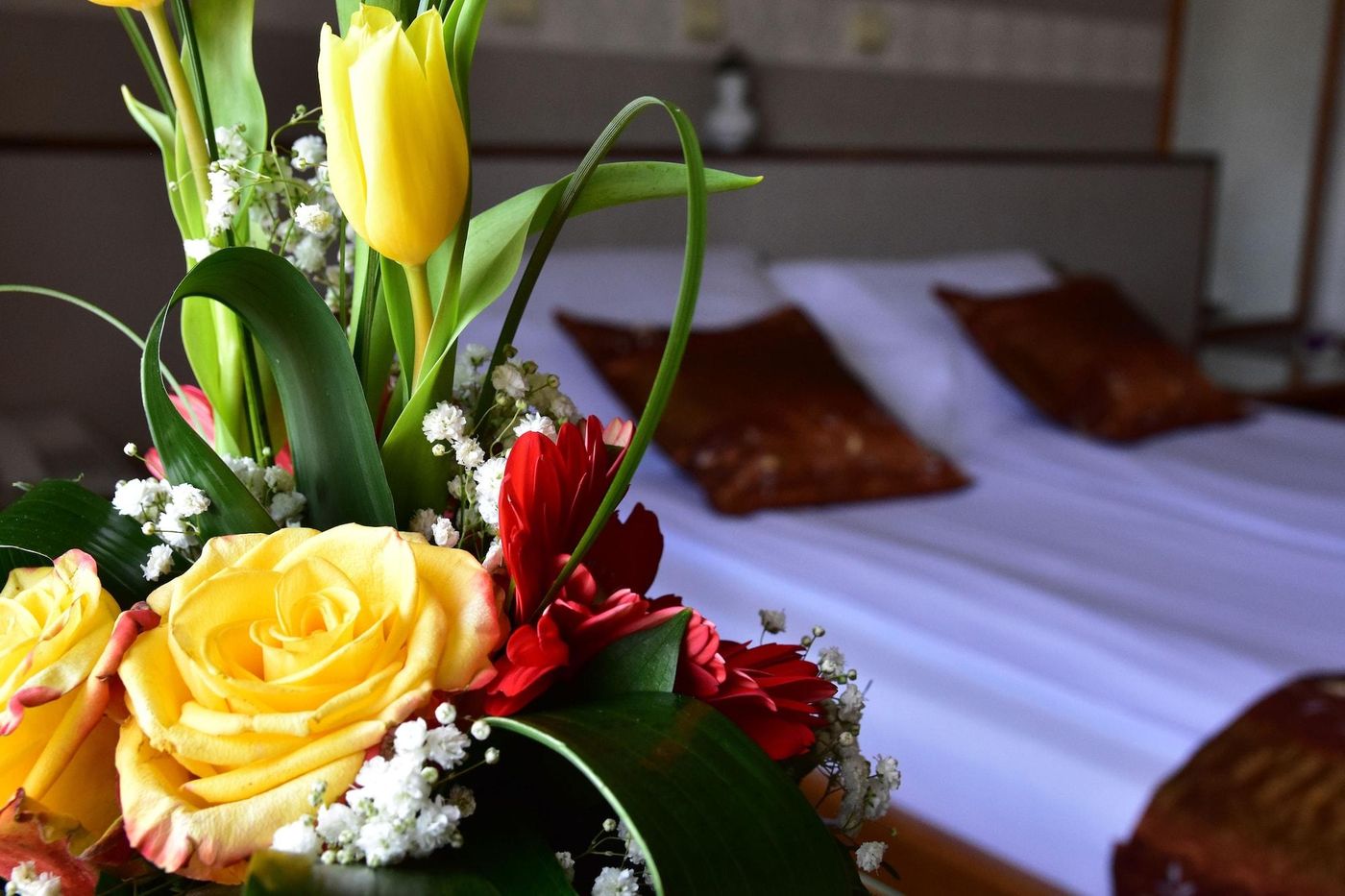 Garni Hotel Lav-Serbia-BELGRADE-General view-10