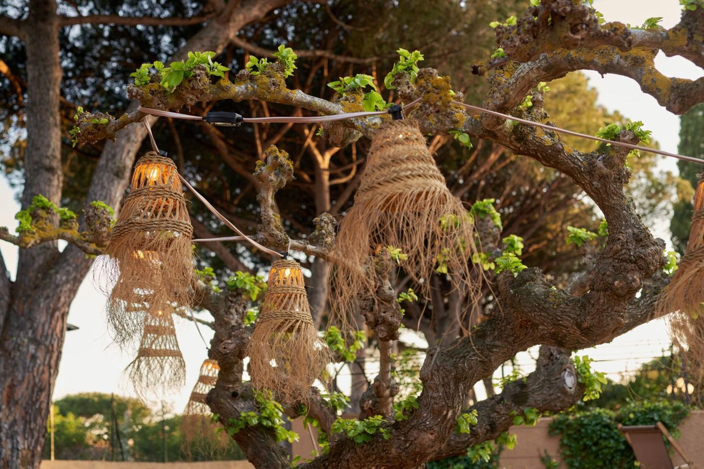 La-Ferme-D-Augustin-General-view-20