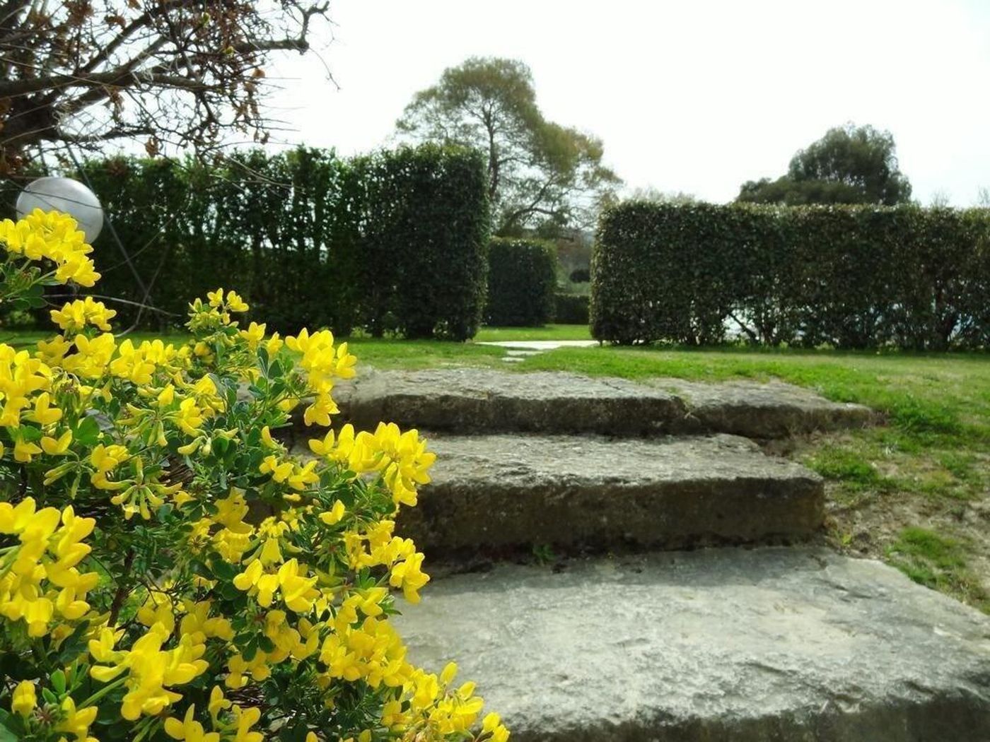 Résidences de Métifiot-France-ST.-REMY-DE-PROVENCE-General view-10