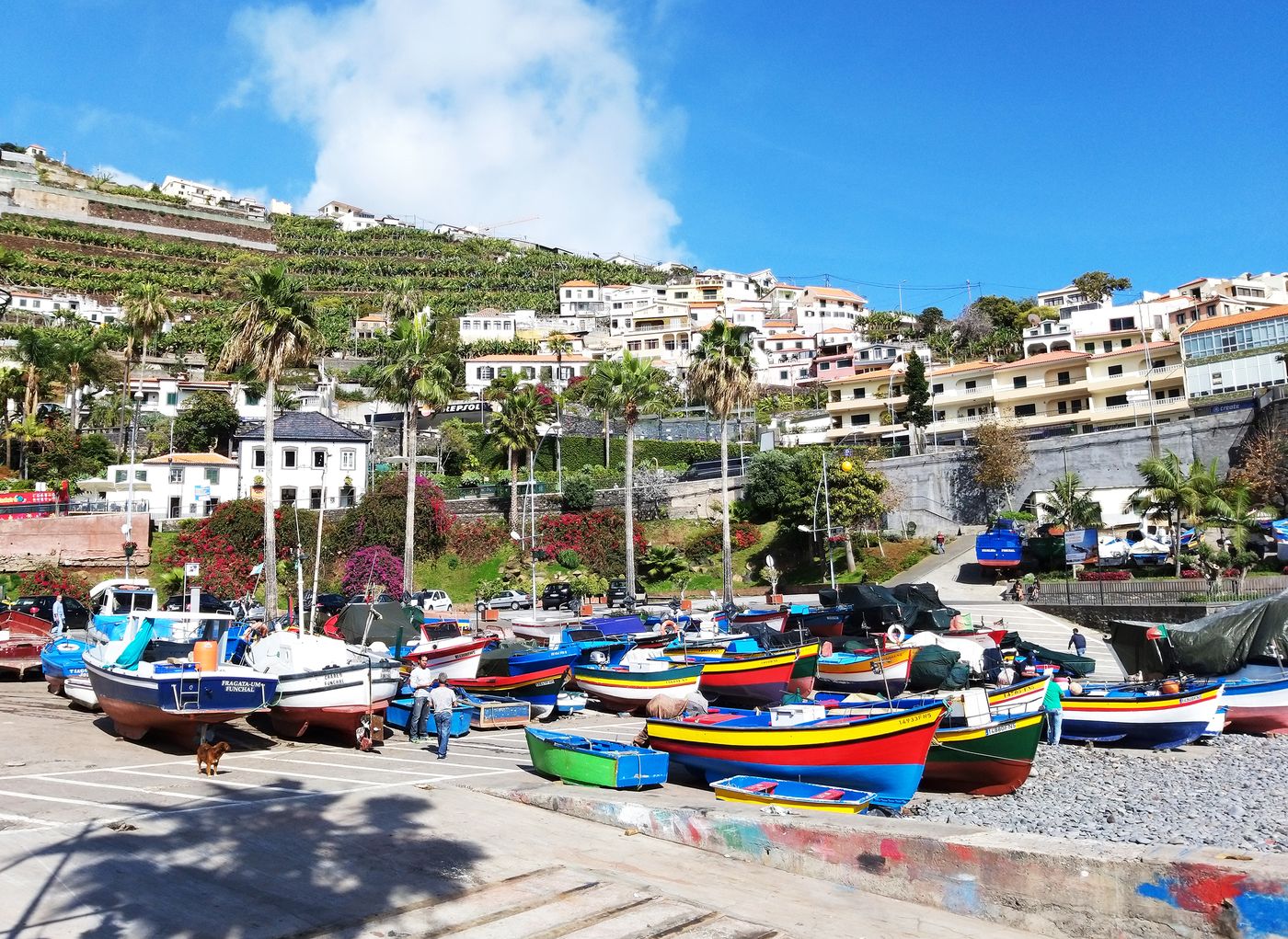 Pestana-Churchill-Bay-General-view-7