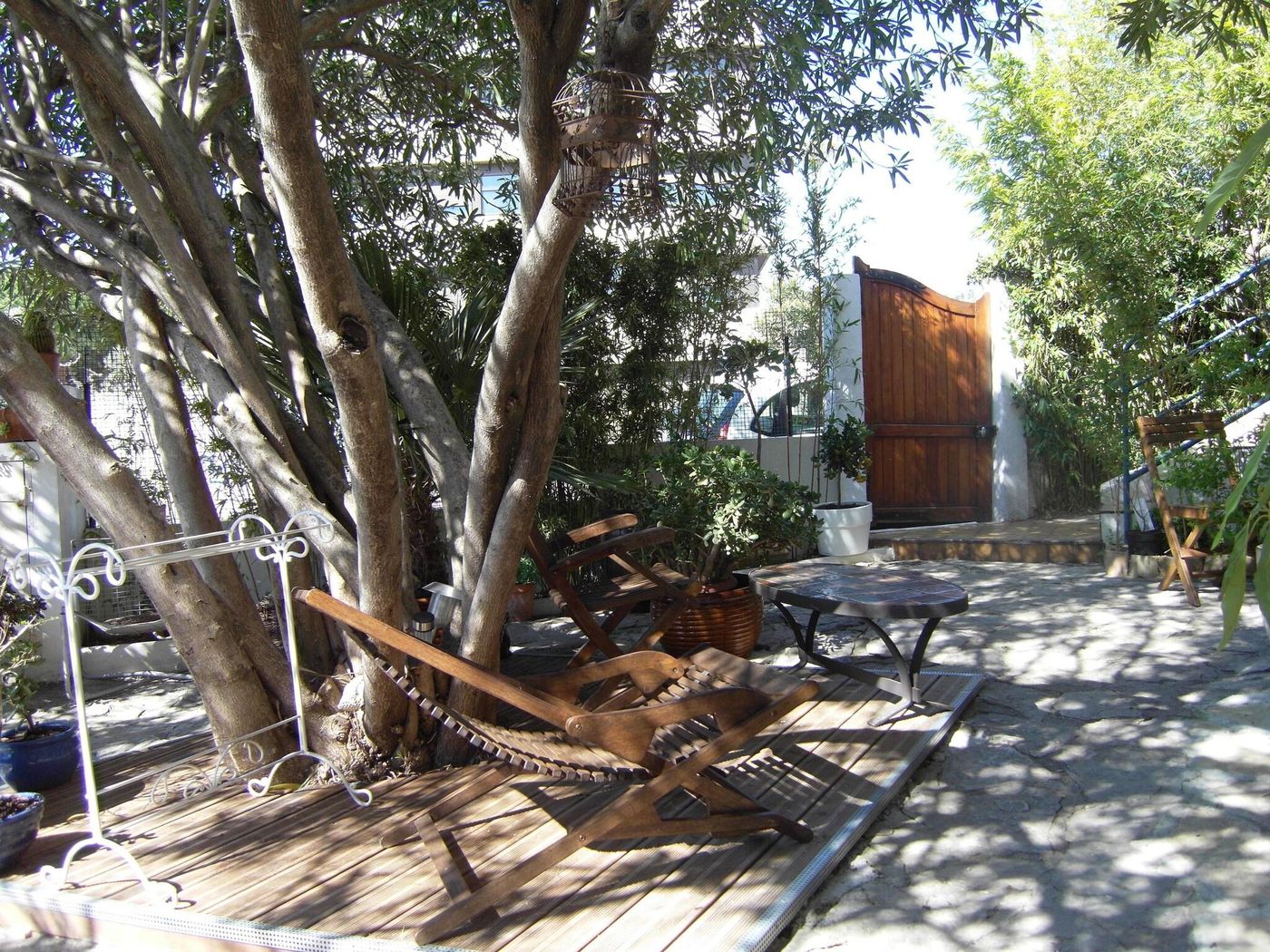 Cielito Lindo - France - MONTPELLIER - General view - 8