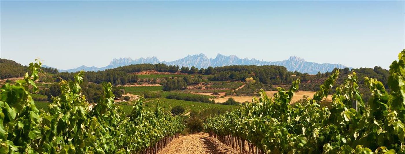 Le-Meridien-Ra-Beach-Hotel---Spa-General-view-102