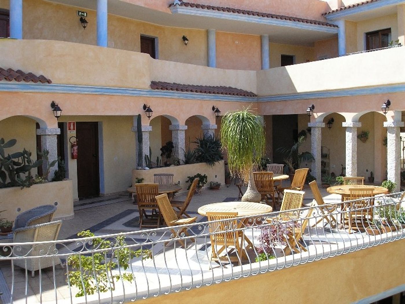 Bonsai-General-view-6