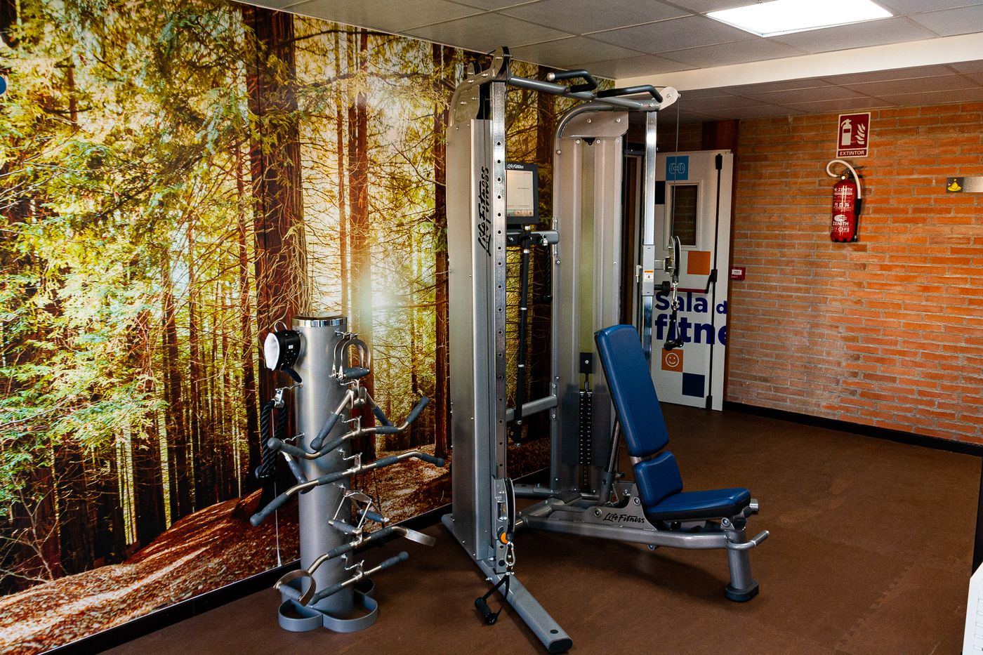 Pacoche-Murcia-Sports-and-Entertainment-51