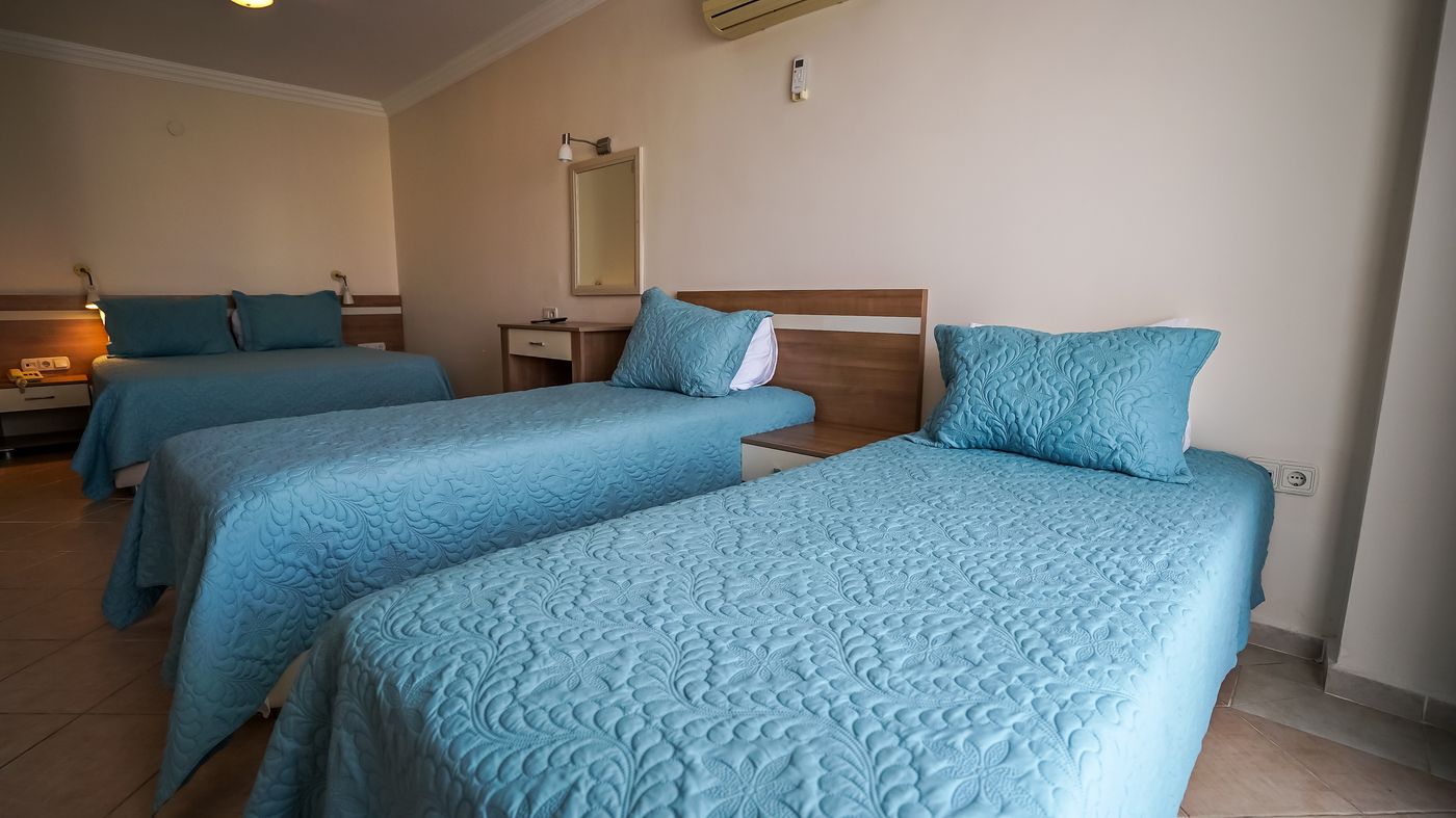 Catty Cats Garden Hotel