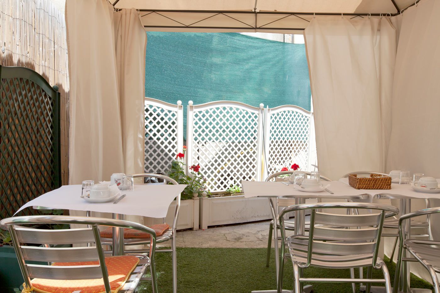 Amaryllis-General-view-2