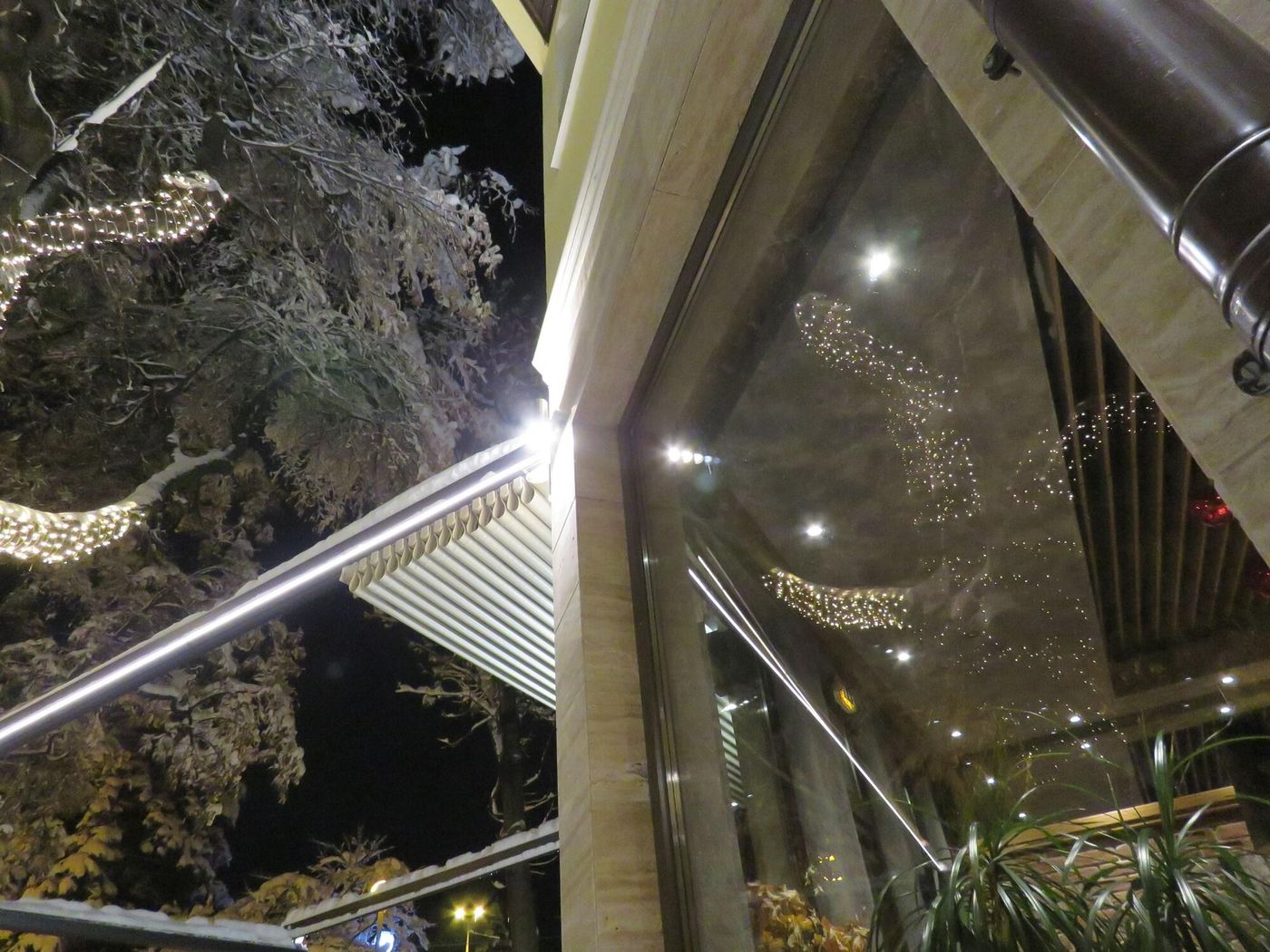 Hotel Villa Boyana-Bulgaria-SOFIA -General view-9