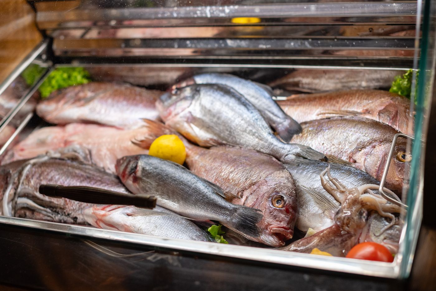 HOTEL-TRAGOS-Restaurant-39