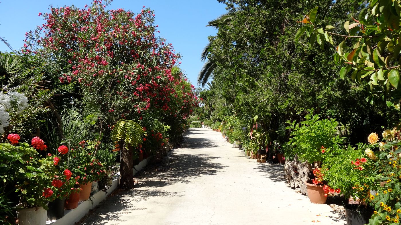 Baha-Ammes-General-view-9