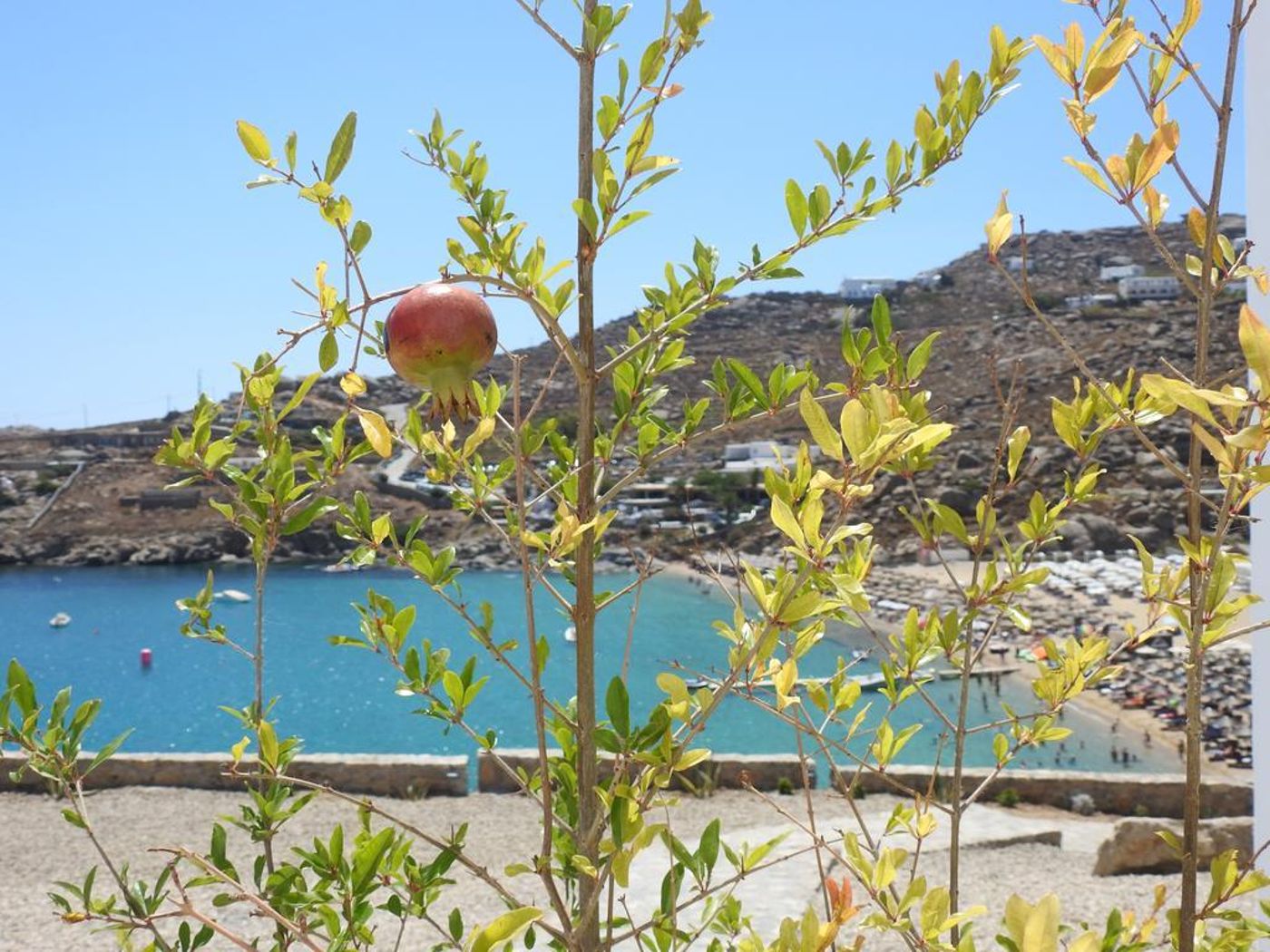 Super-Paradise-Hotel-General-view-60