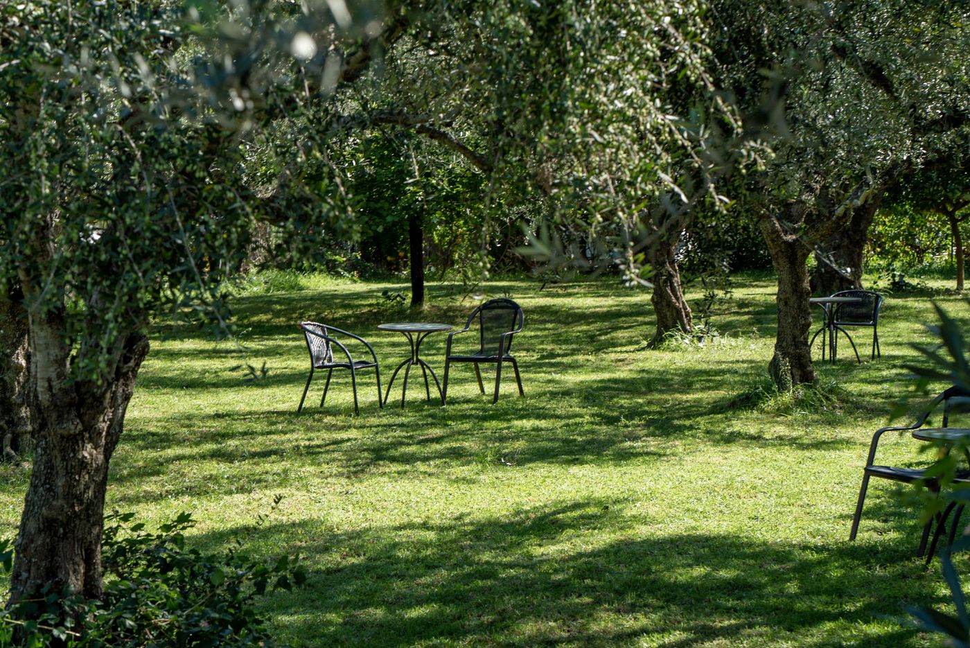 Castelli-Adults-Only-General-view-16