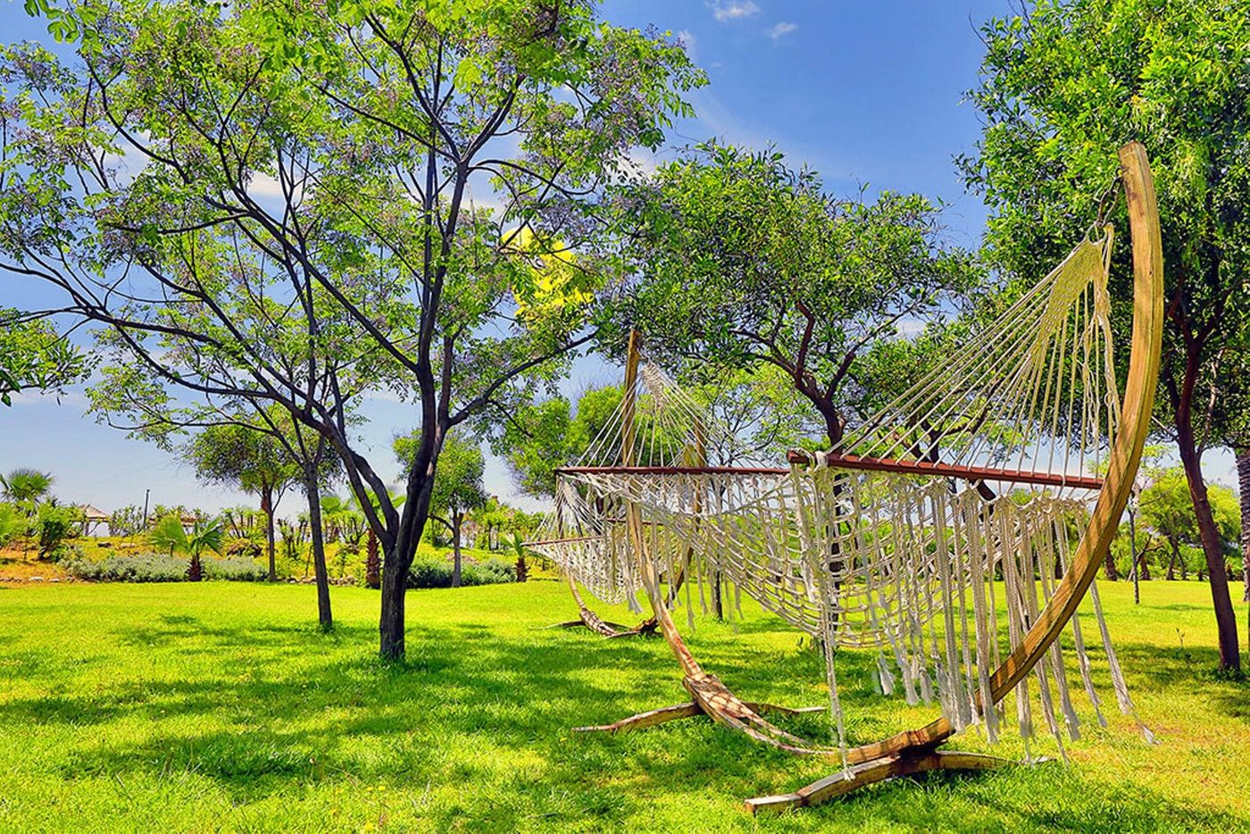 Selectum-Family-Comfort-Side-Sports-and-Entertainment-64