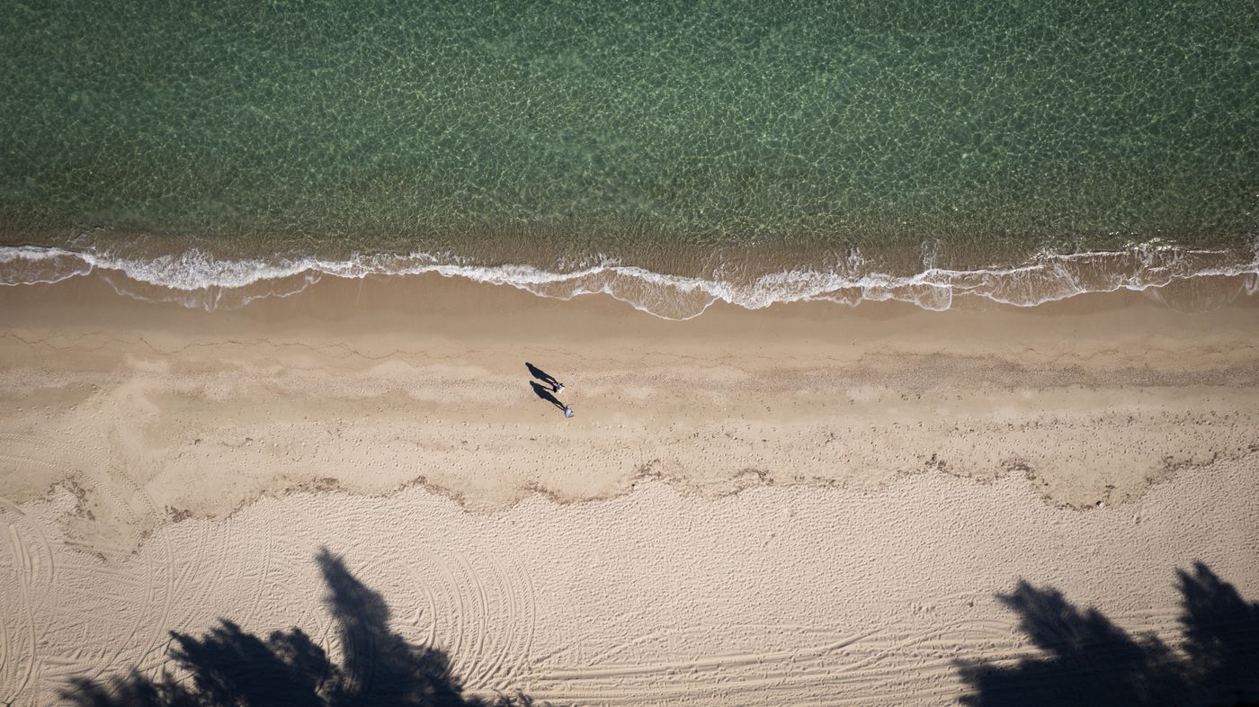 Mitsis Alexander The Great