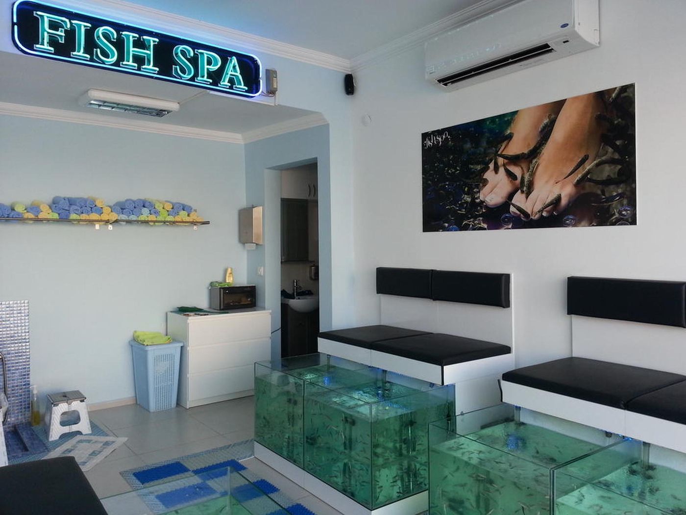 Reis-Maris-Sports-and-Entertainment-41