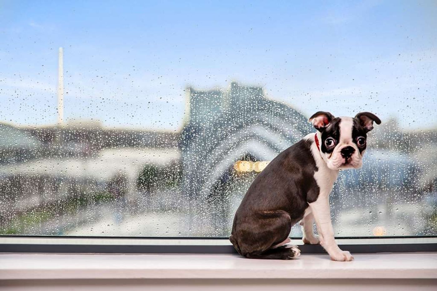 Radisson RED Hotel, Glasgow-United Kingdom-Glasgow-General view-7