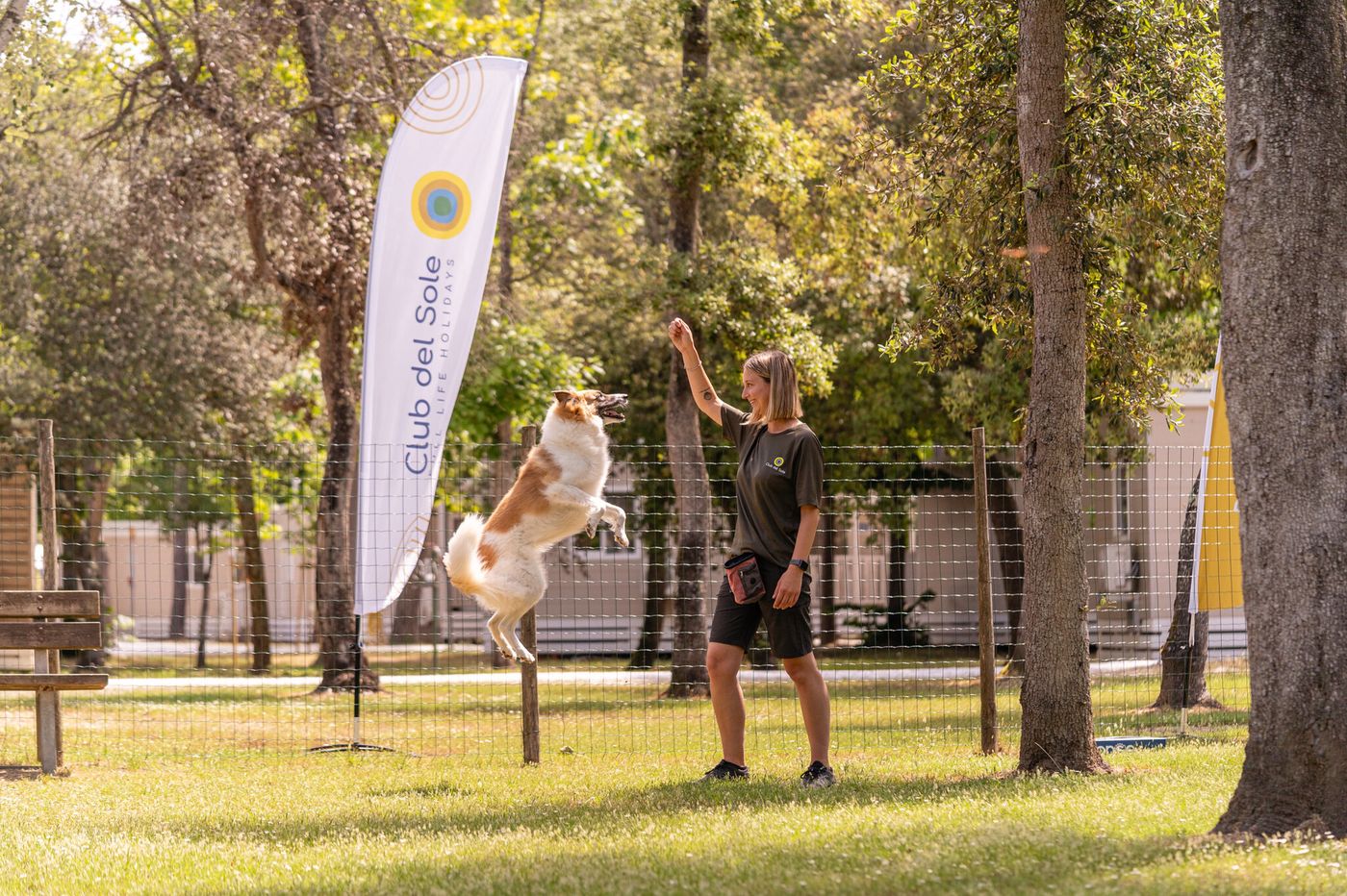 Club-del-Sole-Viareggio-Family-Collection-Sports-and-Entertainment-55