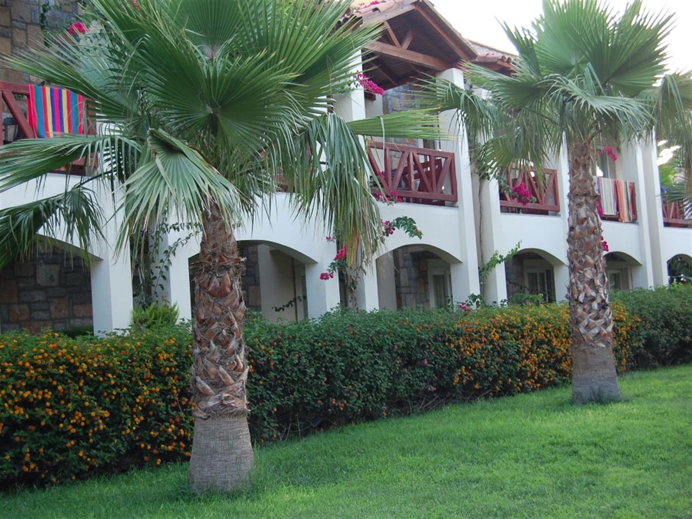 Tiana--Beach-General-view-7