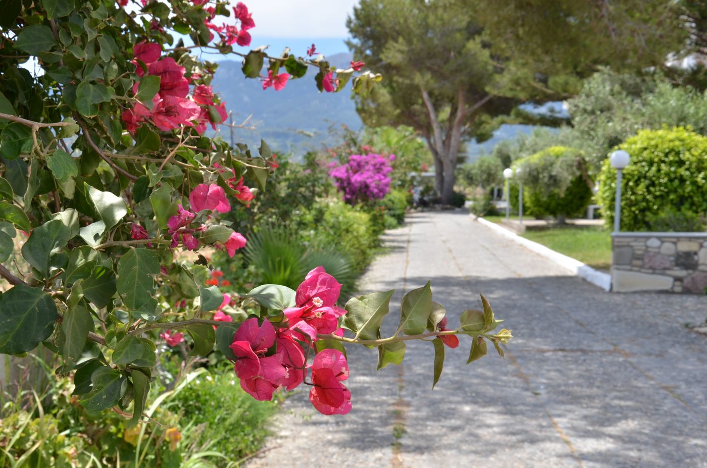 Blue-nest-kos-General-view-7