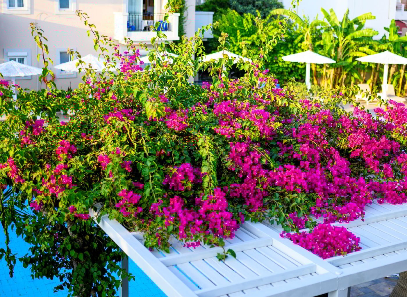 Peridis-Family-Resort-General-view-20