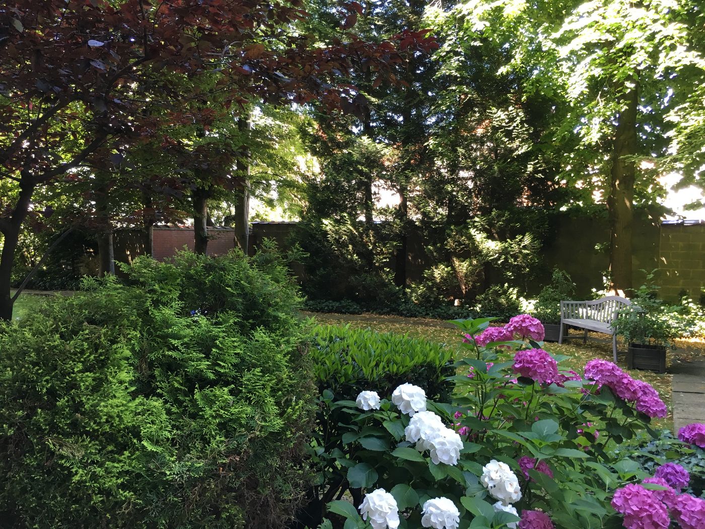 First-Euroflat-Hotel-Terrace-66