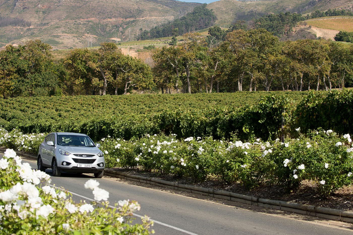 Cape-Cadogan-Sports-and-Entertainment-34