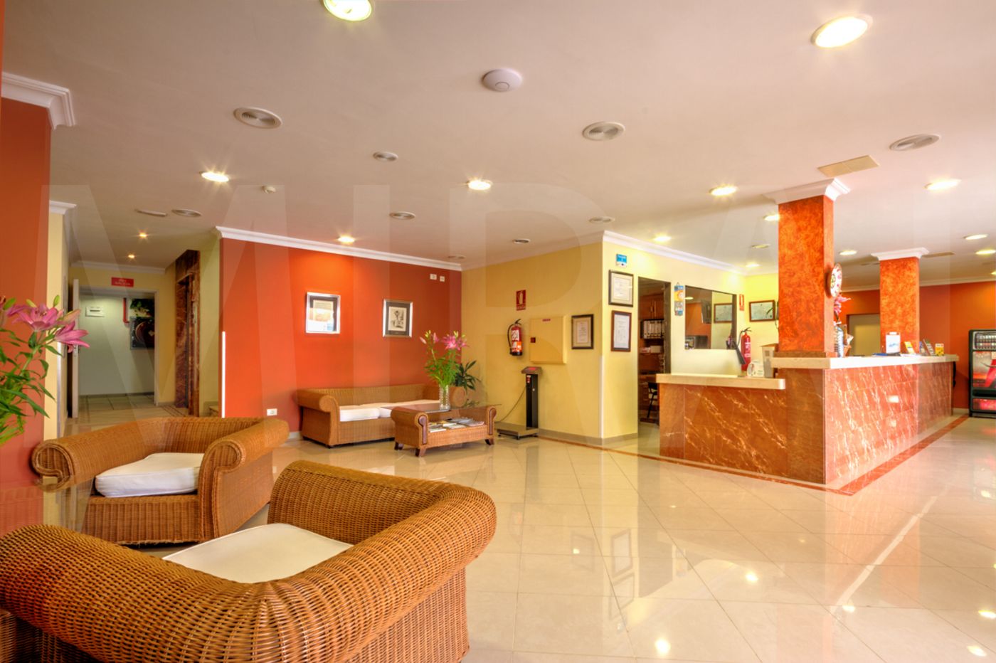 Casa-del-Sol-Lobby-53