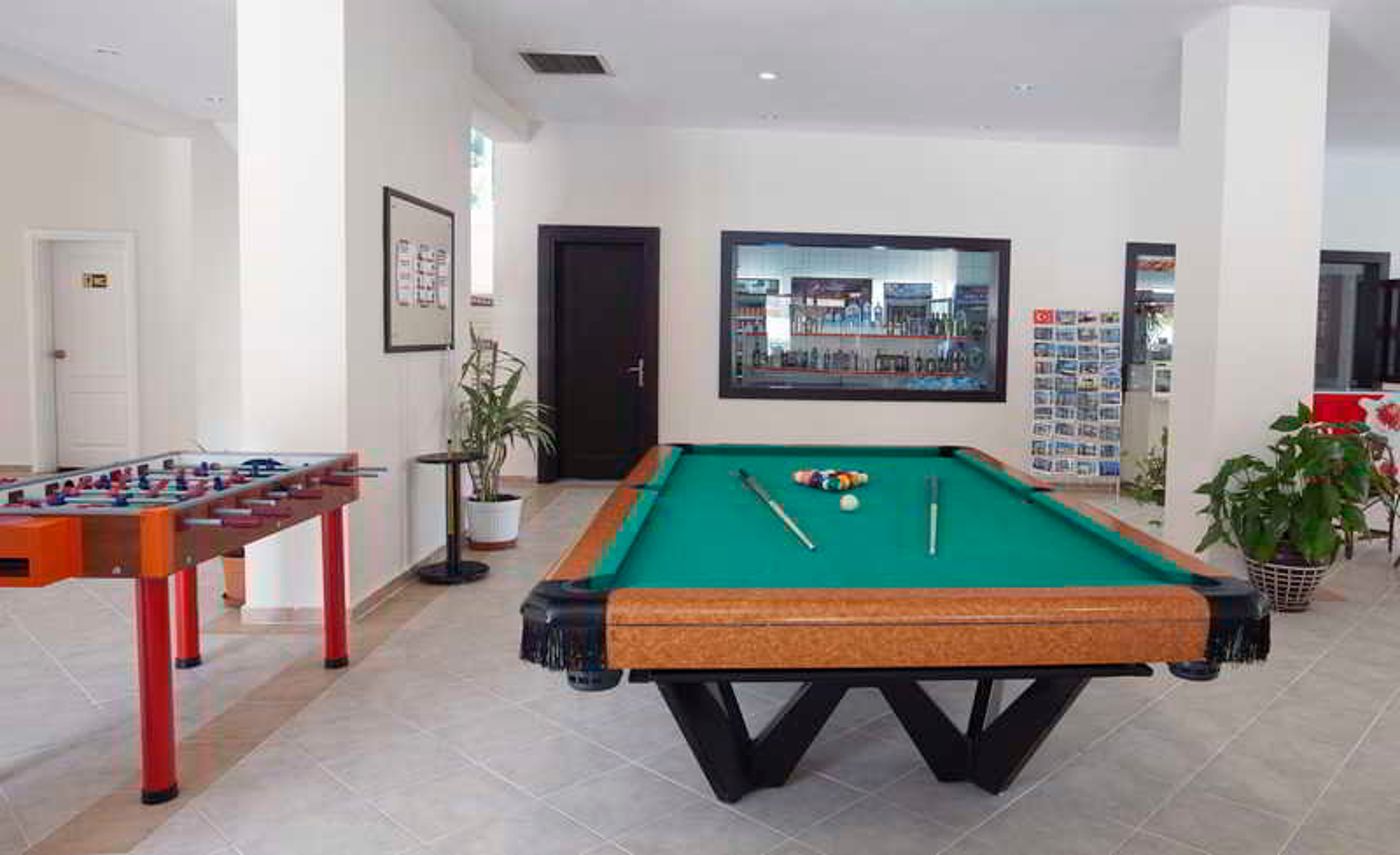 Hotel-Catty-Cats-Garden-Sports-and-Entertainment-49