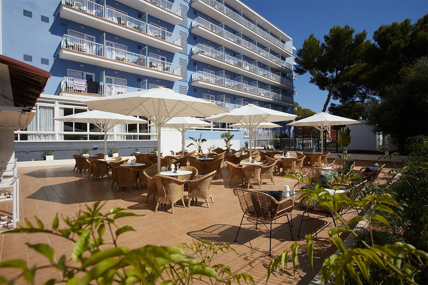 JS Paradise Sport - Adults Only