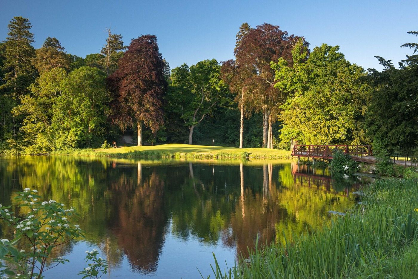 Carton-House--a-Fairmont-Managed-Hotel-Sports-and-Entertainment-74