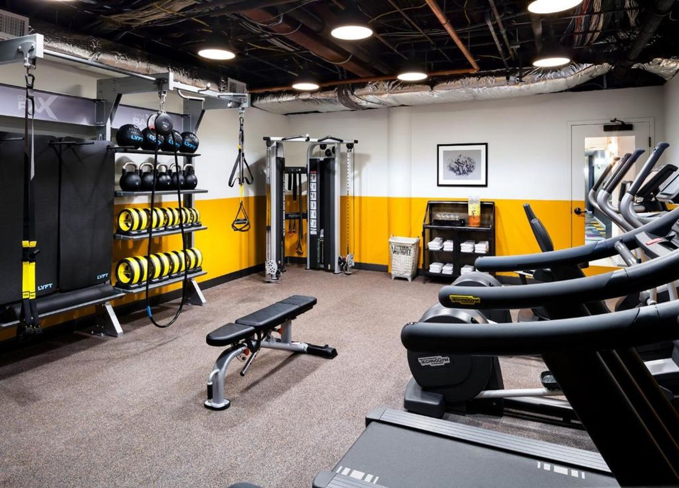 Freepoint Hotel Cambridge, a Tapestry Collection - United States - CAMBRIDGE - Sports and Entertainment - 3