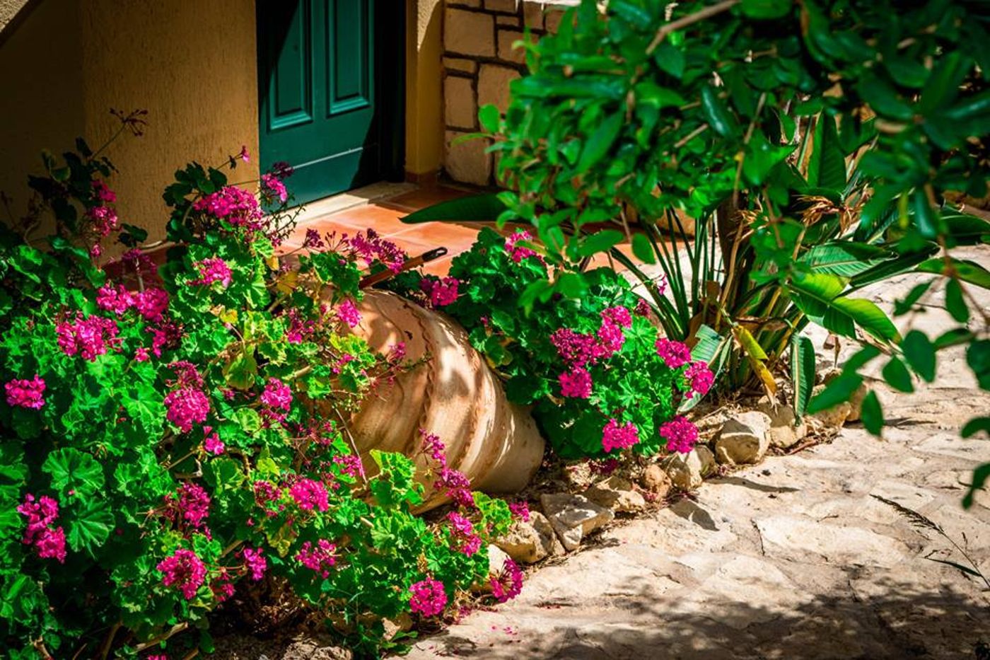 Dream-Village-General-view-16