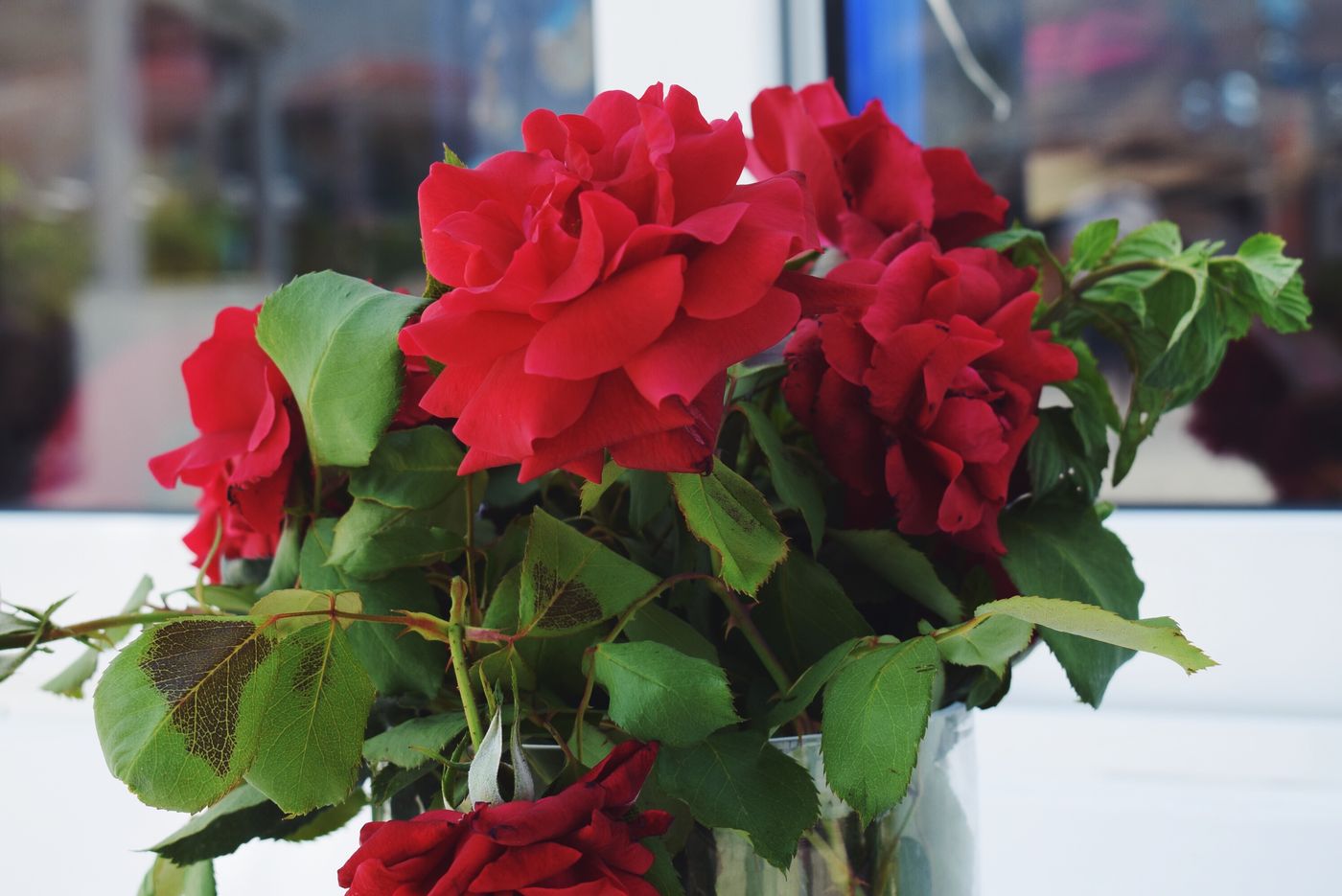 Sun-Beach-Lindos-General-view-29