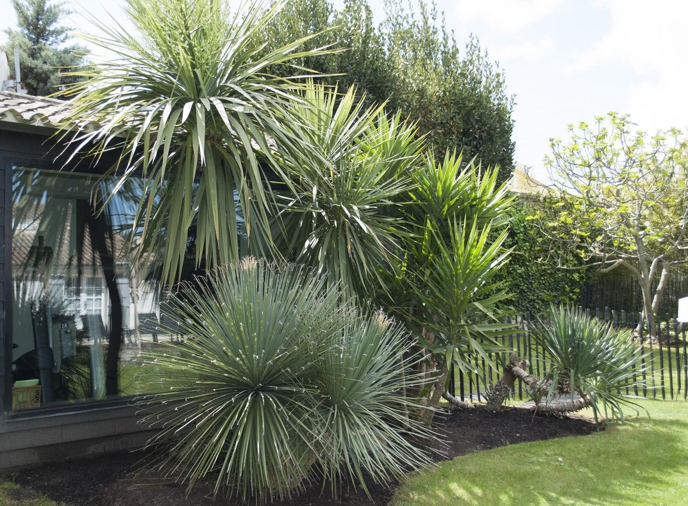 Le Clos Saint-Martin Hôtel & Spa-France-SAINT-MARTIN-DE-RE-General view-3