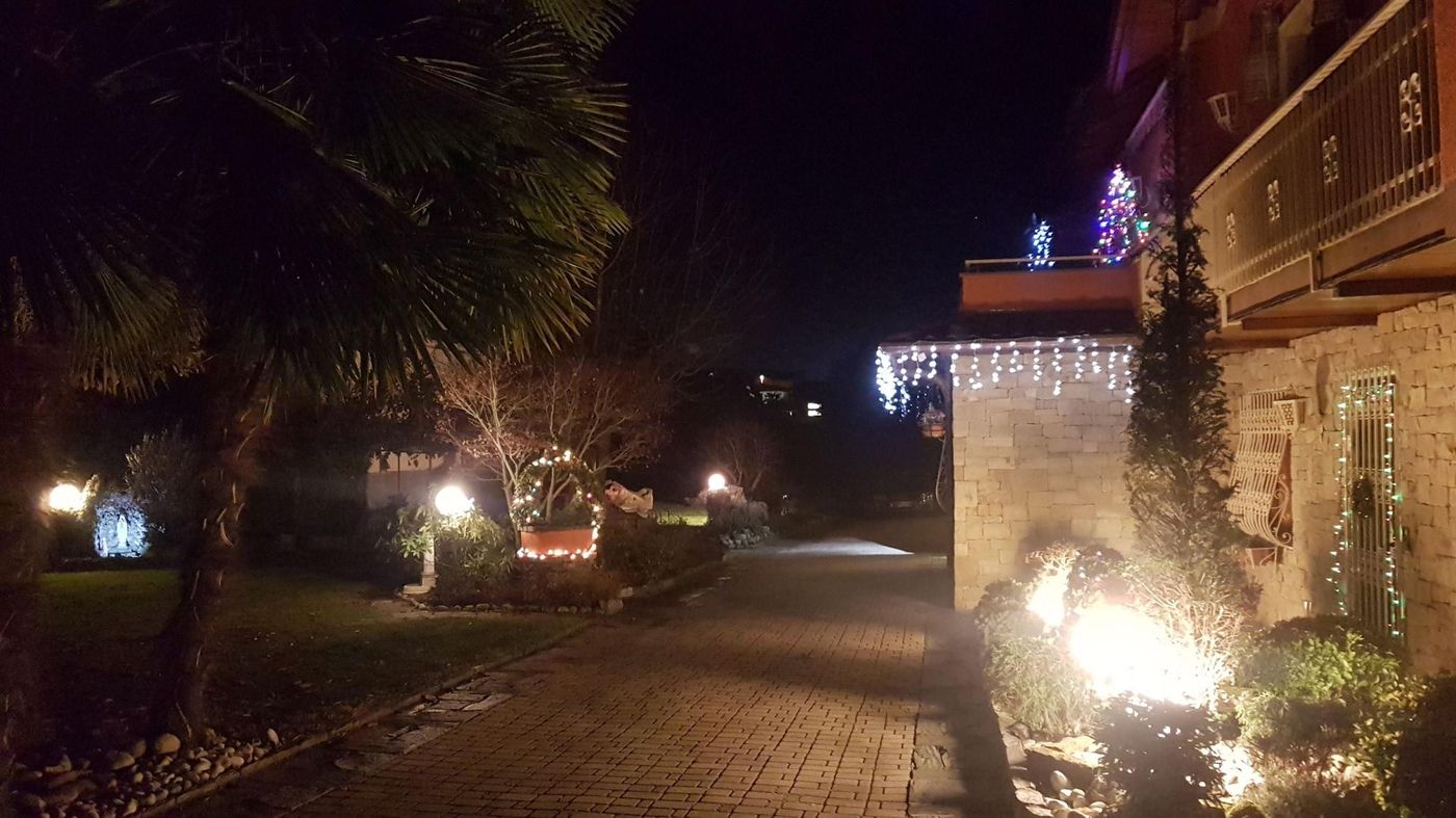 B&B Le Palme-Italy-BULGAROGRASSO-General view-4