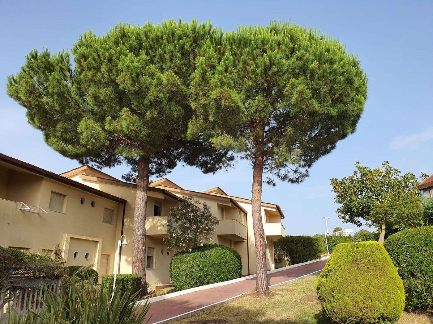 Villaggio Club La Pace-Italy-DRAPIA-General view-3